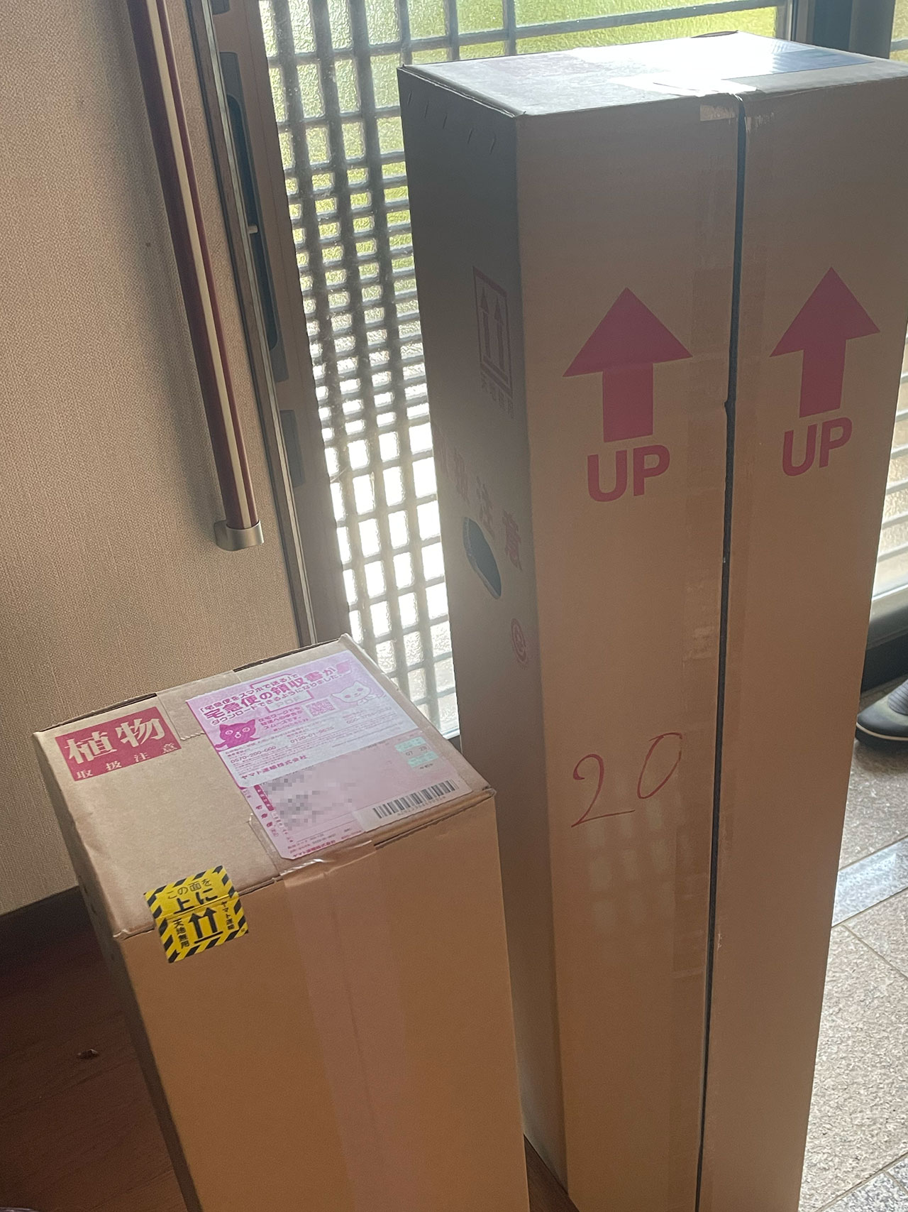 Sunday, Sunny day 西向き極小のベランダガーデニング。 初心者ならではの失敗とチャレンジの記録です。